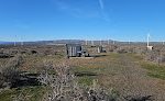 Ryegrass Safety Rest Wreat Eastbound